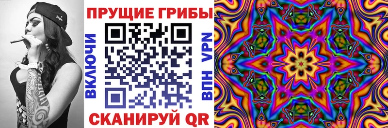 Купить  Минеральные Воды  Галлюциногенные грибы Cubensis 